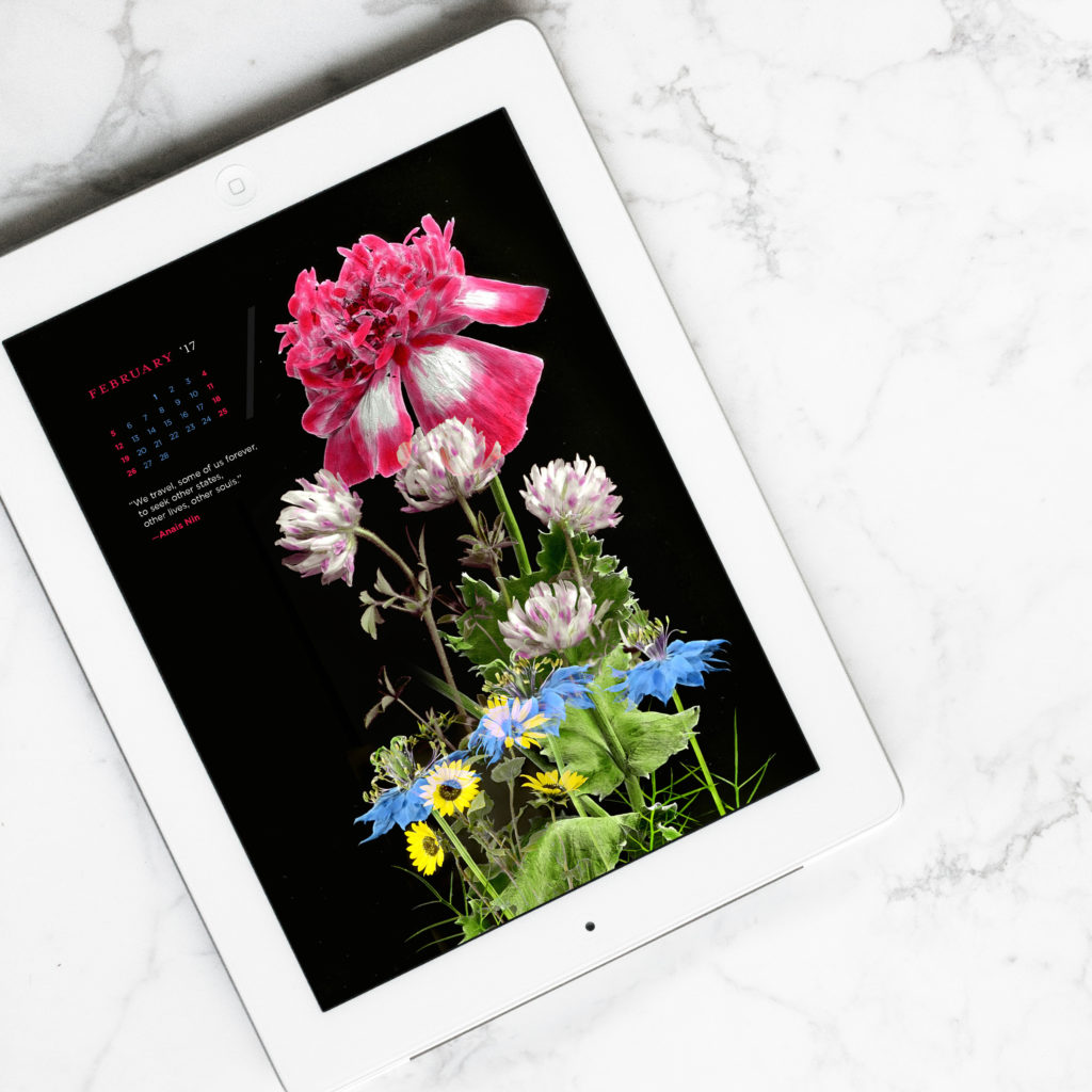 February 2017 Wallpaper