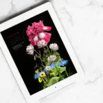 February 2017 Wallpaper