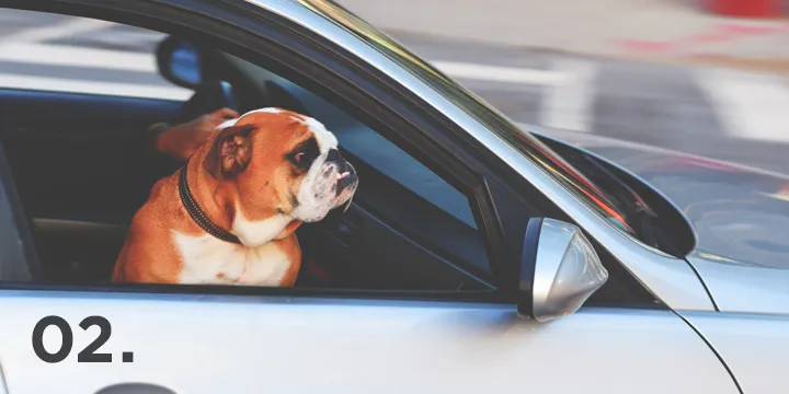 Adventure weekends for couples