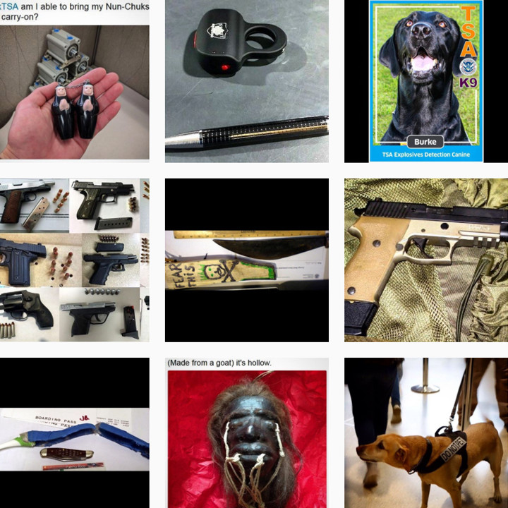 The TSA Instagram Account Is Terrifying And Hilarious | Journo Travel  Journal