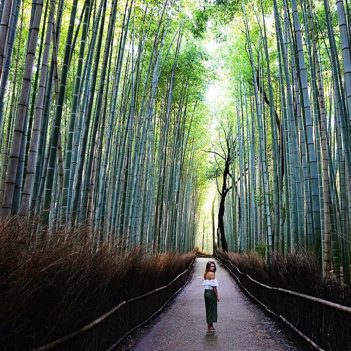 Arashiyama Bamboo Grove