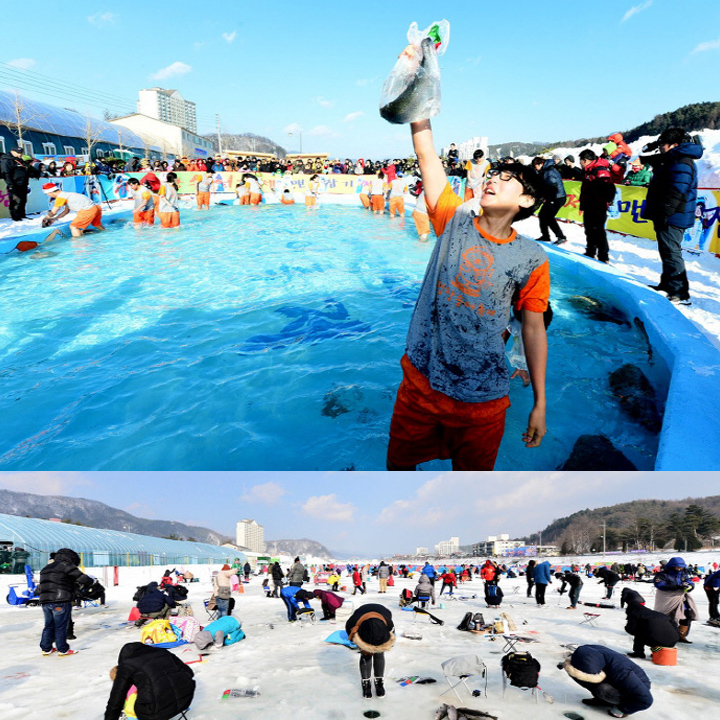 Pyeongchang Trout Festival