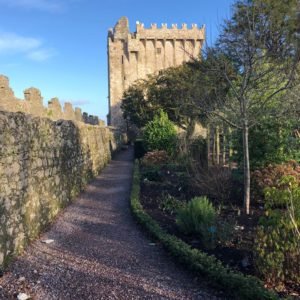 What Is the Blarney Stone