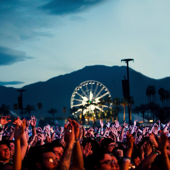 coachella music festival