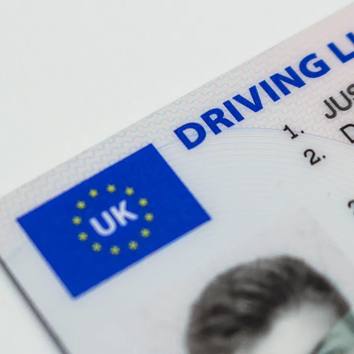 drivers licence