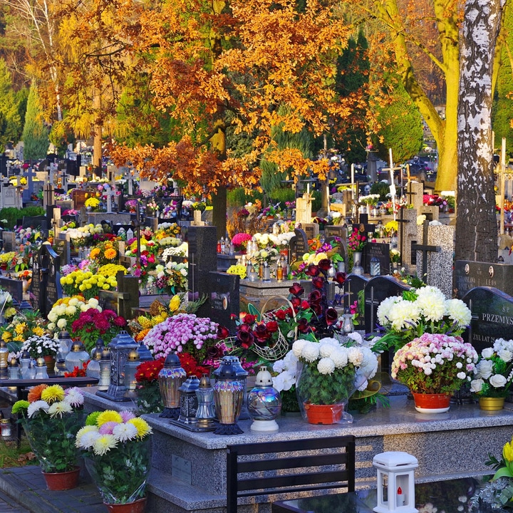 day of the dead graveyard