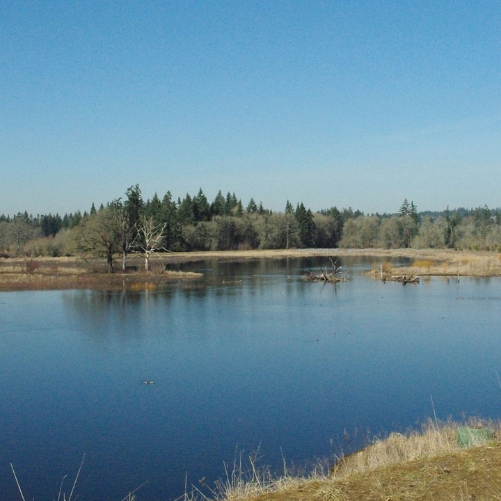 Tualatin River