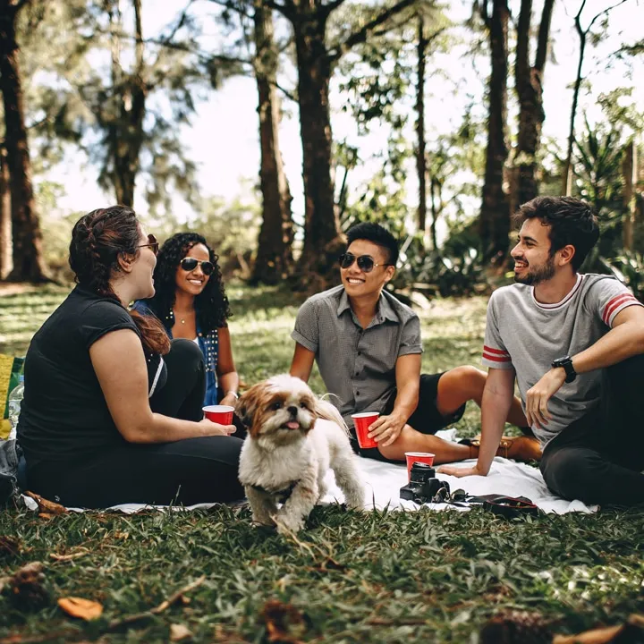 how to become a online teacher