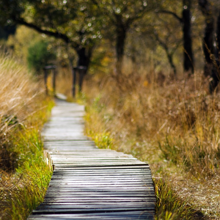 nature walk staycation