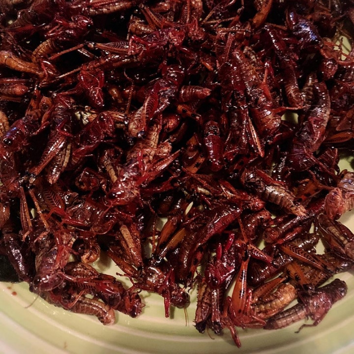 21 Most Exotic & Weird Foods In The World - Fried Grasshoppers
