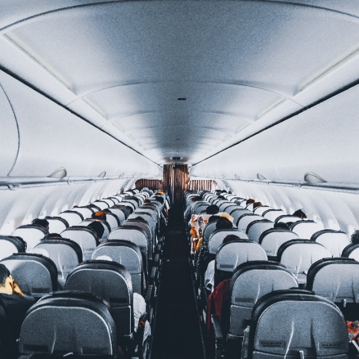 Flight Attendant