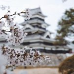 Travel To Japan: 2021 Travel Guide & Advice