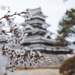 Travel To Japan: 2023 Travel Guide & Advice