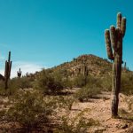 26 Best Things To Do in Phoenix