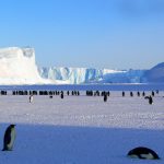 Travel to Antarctica: 2023 Travel Guide & Advice
