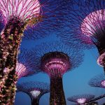 Travel To Singapore: 2023 Travel Guide & Advice