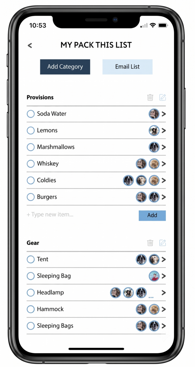 Pack This travel packing app showing a custom trip list with categories and companions tagged
